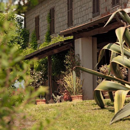Agriturismo Bio Aia Della Colonna Saturnia Zewnętrze zdjęcie